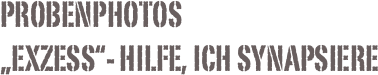 Probenphotos
„ExZess“- Hilfe, ich synapsiere